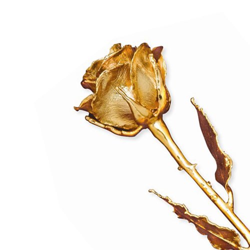 https://www.arthursjewelers.com/content/images/thumbs/Original/Gold Dipped Rose-19361789.jpg